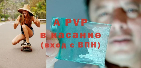 ПСИЛОЦИБИНОВЫЕ ГРИБЫ Козловка
