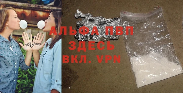ПСИЛОЦИБИНОВЫЕ ГРИБЫ Козловка