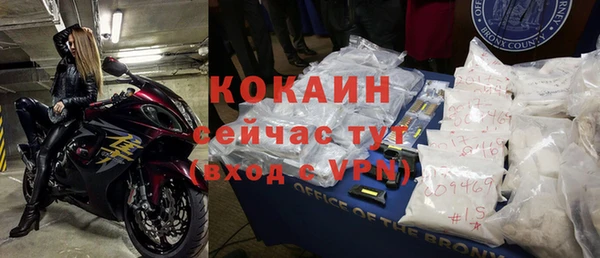 ПСИЛОЦИБИНОВЫЕ ГРИБЫ Козловка