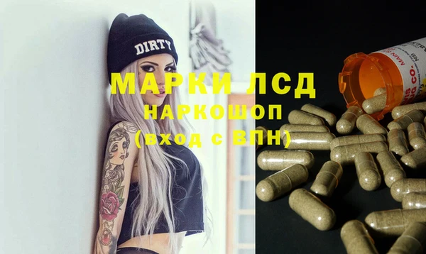ПСИЛОЦИБИНОВЫЕ ГРИБЫ Козловка