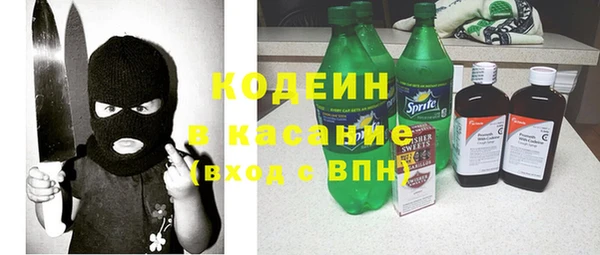 ПСИЛОЦИБИНОВЫЕ ГРИБЫ Козловка