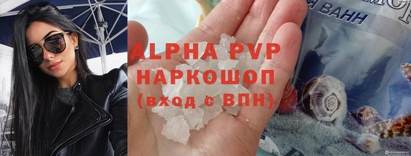 ПСИЛОЦИБИНОВЫЕ ГРИБЫ Козловка
