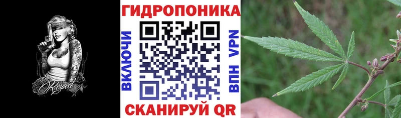 Шишки марихуана THC 21%  Купить  Иркутск 